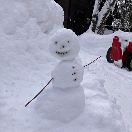Hakuba Cottage Gram Kültér fotó