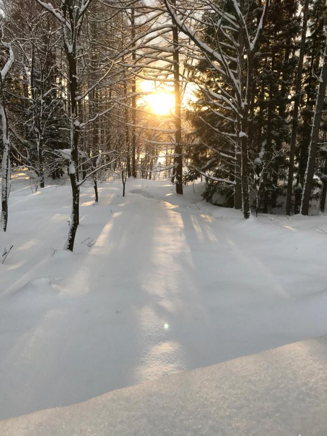 Hakuba Cottage Gram Kültér fotó