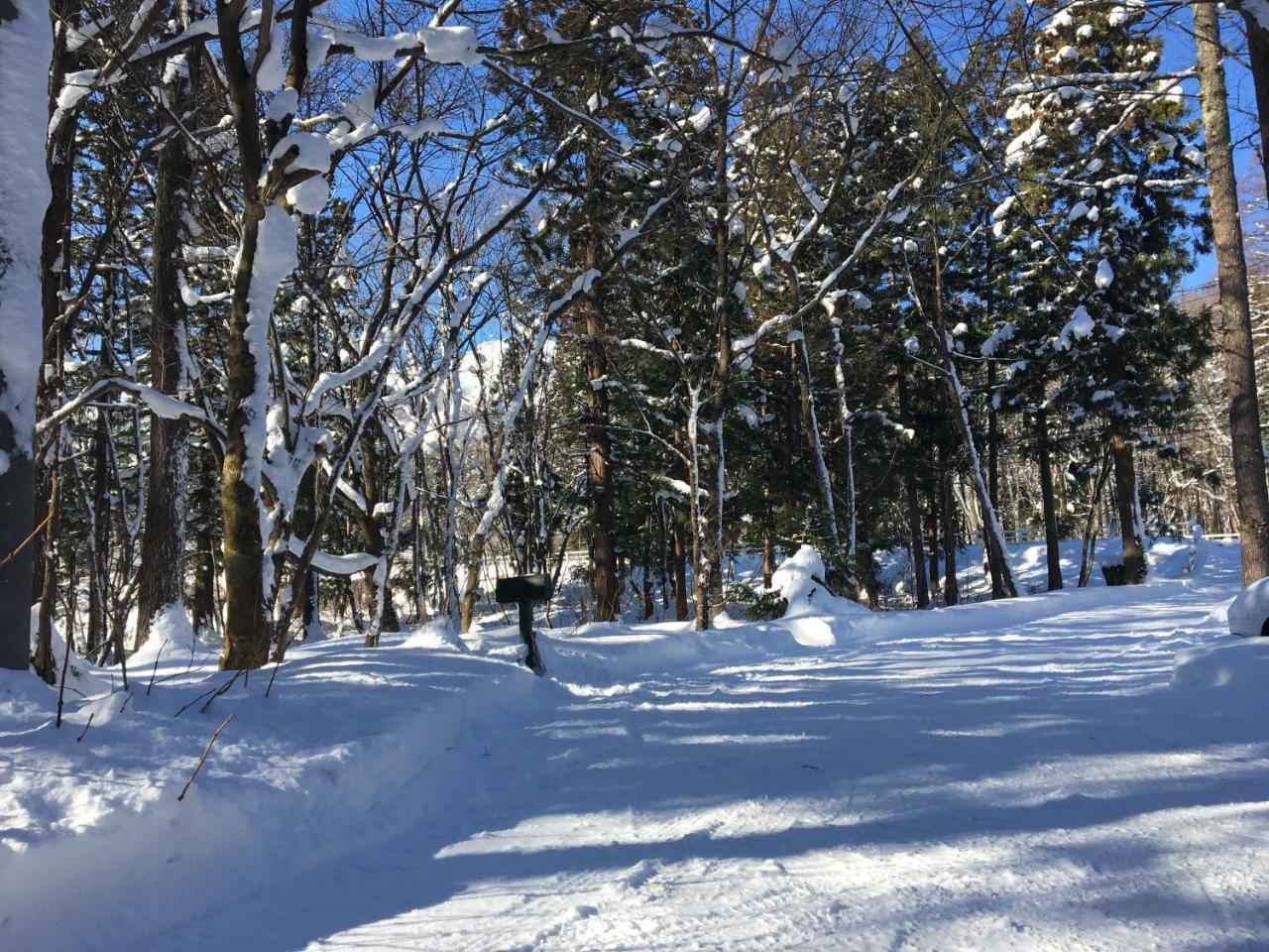 Hakuba Cottage Gram Kültér fotó