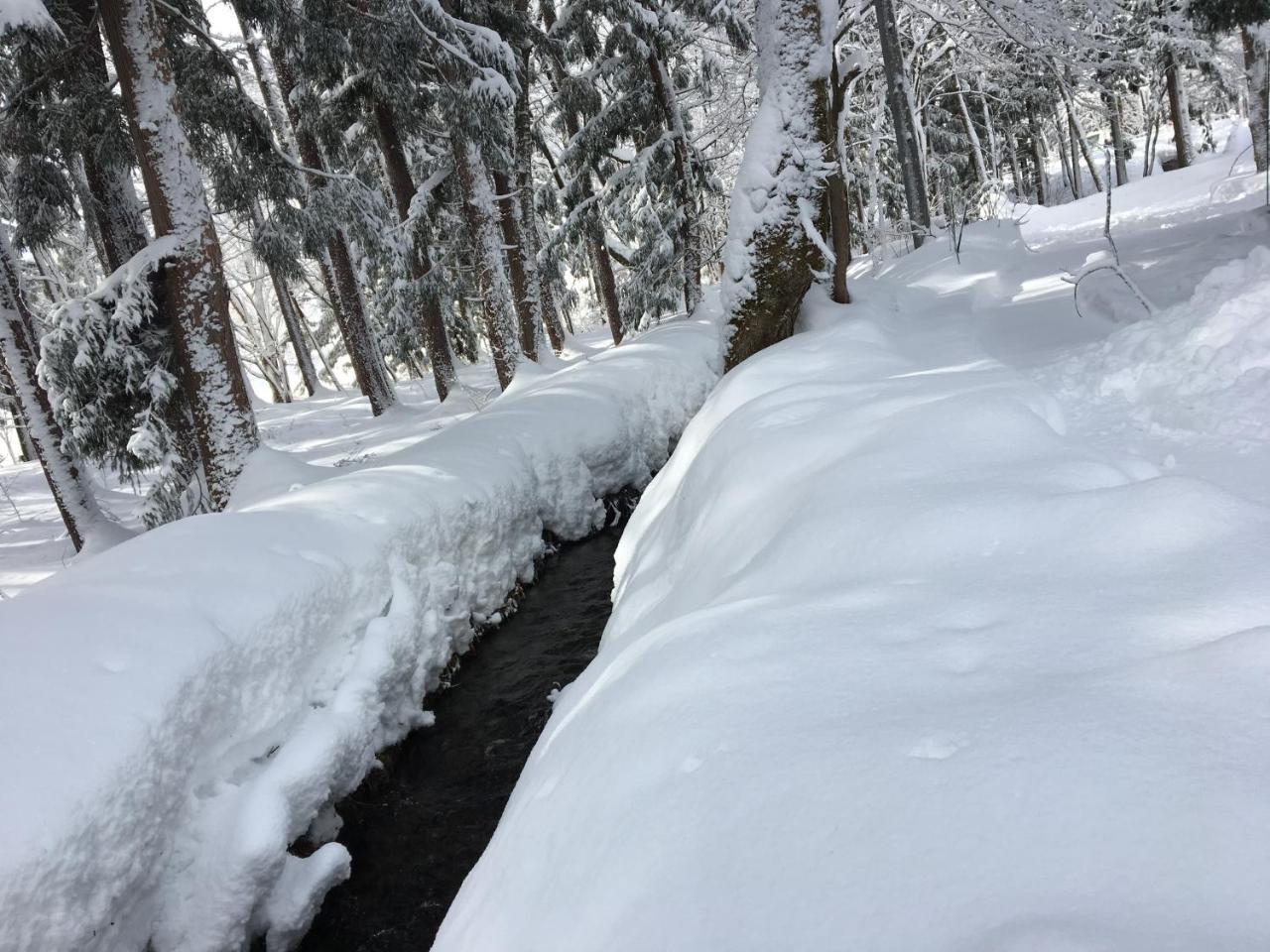 Hakuba Cottage Gram Kültér fotó