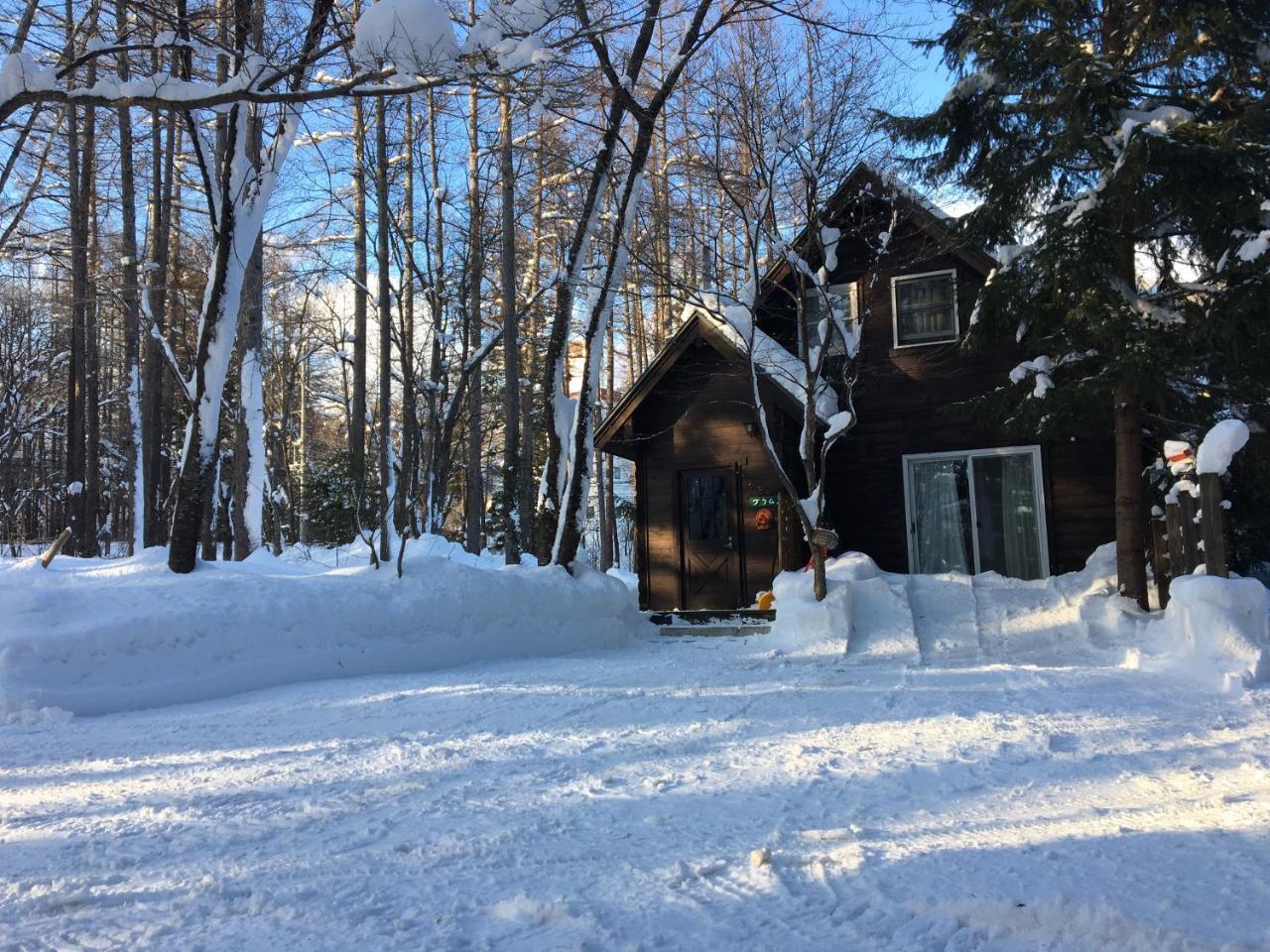 Hakuba Cottage Gram Kültér fotó