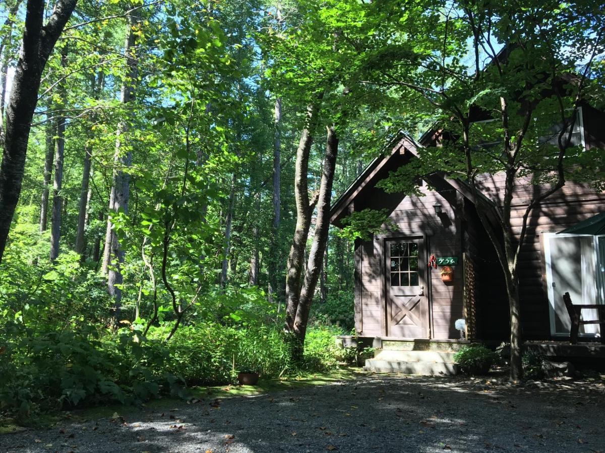 Hakuba Cottage Gram Kültér fotó